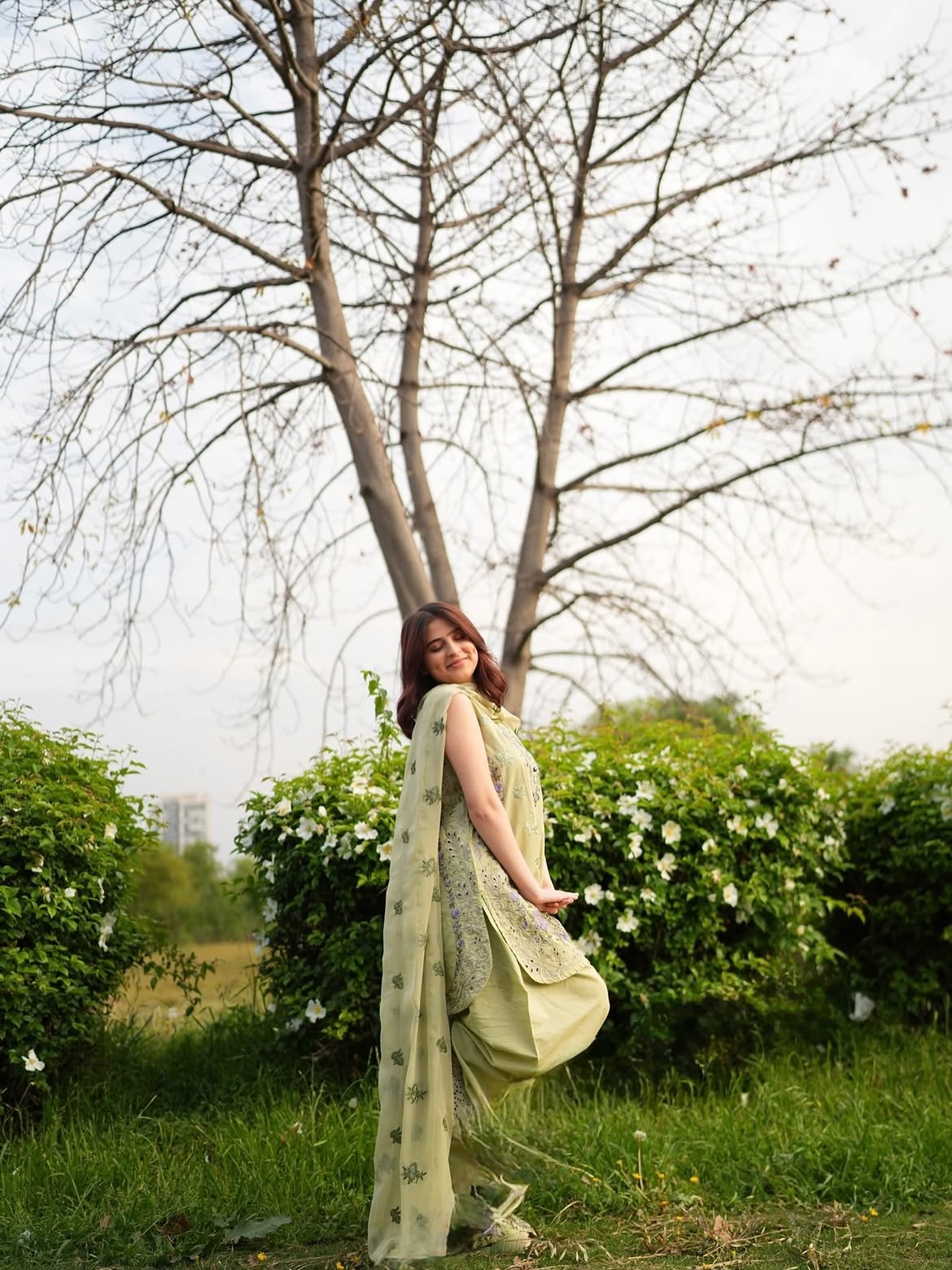 OLIVE BLOOM⭐